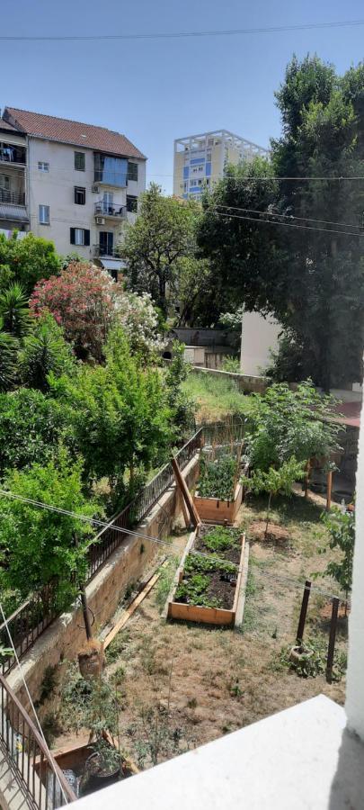 Cherry سبليت المظهر الخارجي الصورة